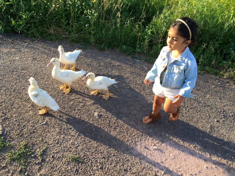 Have some fun on the farm