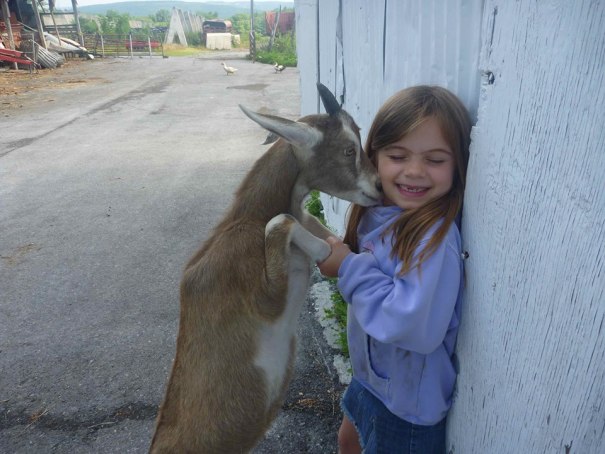 Have some fun on the farm