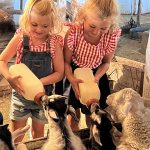 farm-stay-new-york-summer-vacation-feeding-goats
