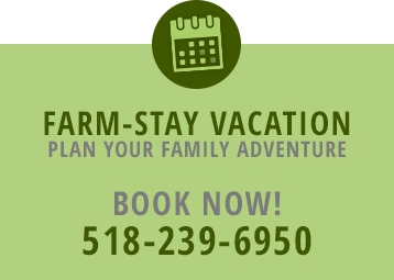 Book your vacation now!