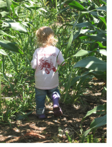 Sadie in maze