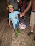 boy collecting eggs