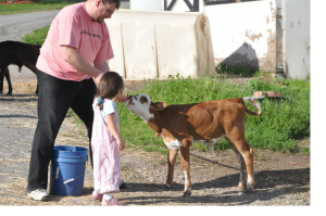 farm chores