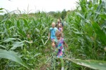 hull-o-farms-family-farm (11)