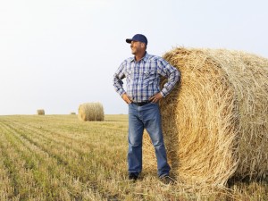 5-traits-of-a-good-farmer