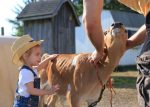 farm-stay-vacation-catskills